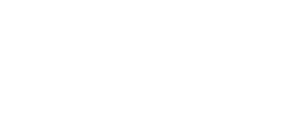 Logo branco Dona Maria Serviços de Limpeza